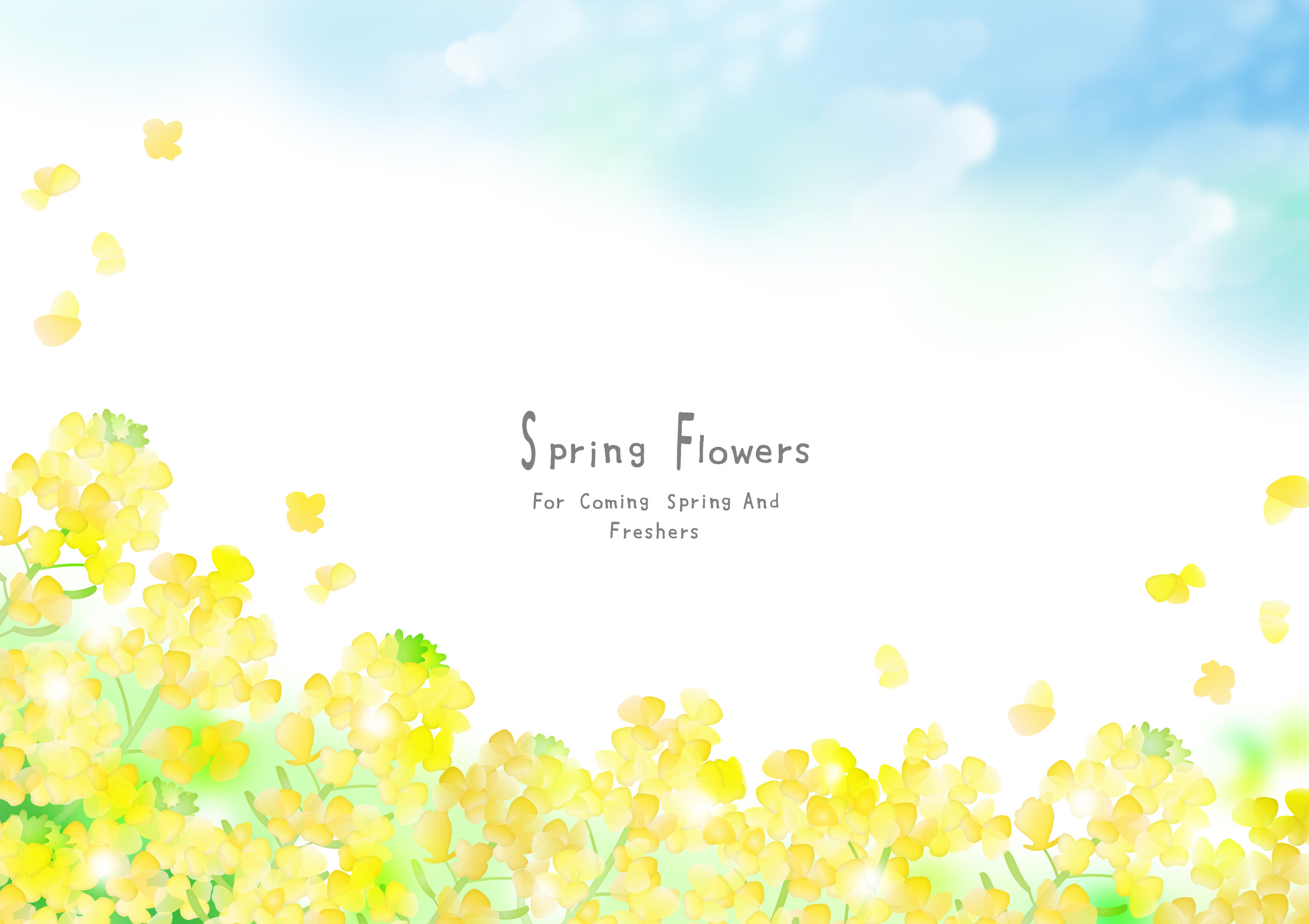 4/25（土）26（日）アイドルグループクイーントーナメント