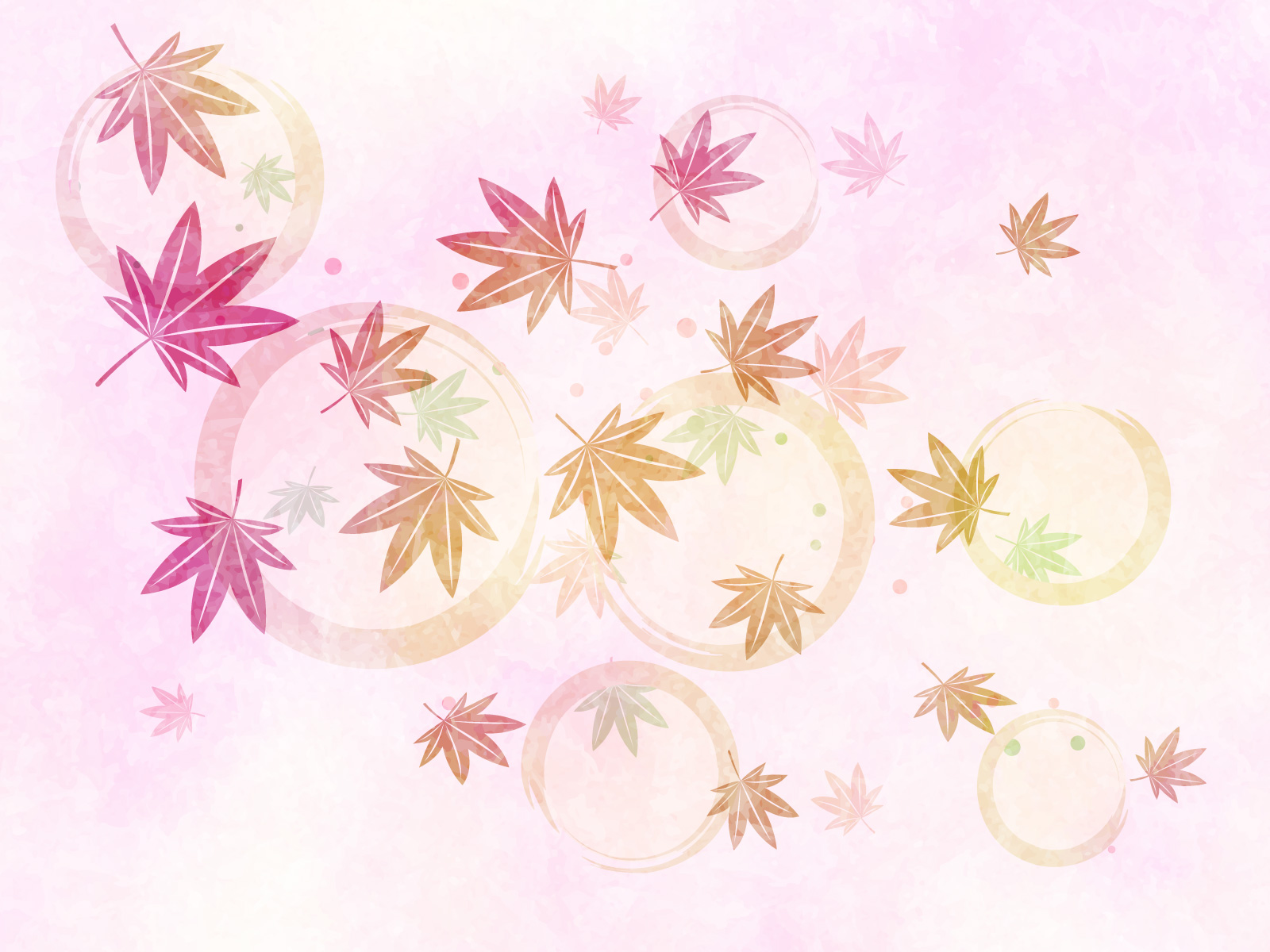 11/3（祝火）秋葉原Galaxy